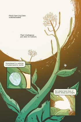 Read Swamp Thing: Twin Branches (2020-)  1 Page 6 in English