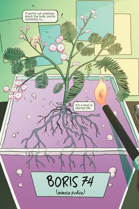 Read Swamp Thing: Twin Branches (2020-)  1 Page 9 in English