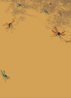 Read Dengue (English)  2 Page 5 in English
