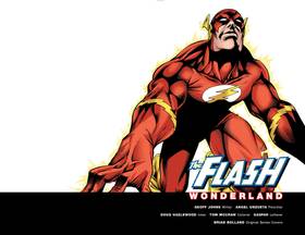 Read The Flash (1987-2008)  8 Page 3 in English