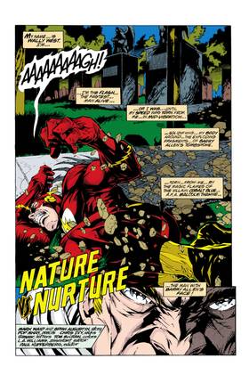 Read The Flash (1987-2008)  162 Page 2 in English