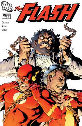 Read The Flash (1987-2008)  247 Page 1 in English