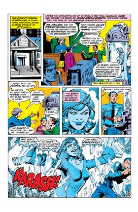 Read The Fury of Firestorm (1982-)  5 Page 9 in English