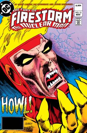 Read The Fury of Firestorm (1982-)  16 Page 1 in English