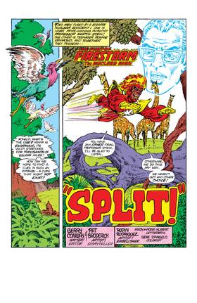 Read The Fury of Firestorm (1982-)  17 Page 2 in English