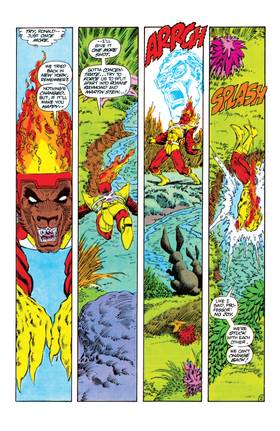 Read The Fury of Firestorm (1982-)  17 Page 3 in English