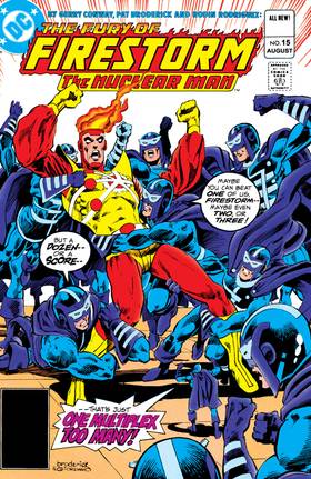 Read The Fury of Firestorm (1982-)  19 Page 1 in English