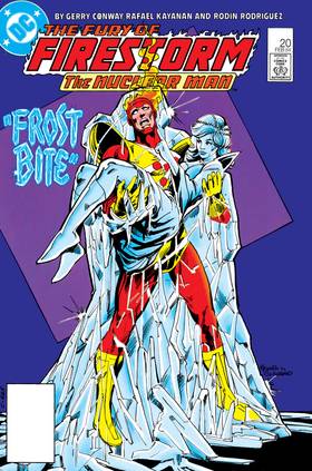 Read The Fury of Firestorm (1982-)  24 Page 1 in English