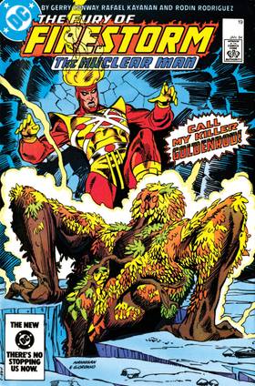 Read The Fury of Firestorm (1982-)  23 Page 1 in English