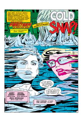 Read The Fury of Firestorm (1982-)  25 Page 2 in English