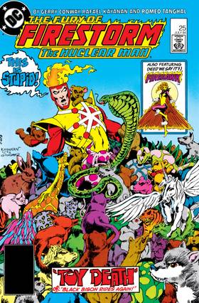 Read The Fury of Firestorm (1982-)  29 Page 1 in English