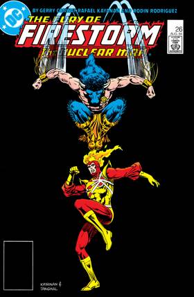 Read The Fury of Firestorm (1982-)  30 Page 1 in English