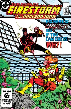 Read The Fury of Firestorm (1982-)  32 Page 1 in English