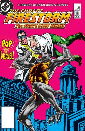 Read The Fury of Firestorm (1982-)  42 Page 1 in English