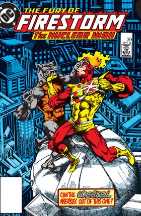 Read The Fury of Firestorm (1982-)  43 Page 1 in English