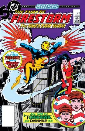 Read The Fury of Firestorm (1982-)  46 Page 1 in English