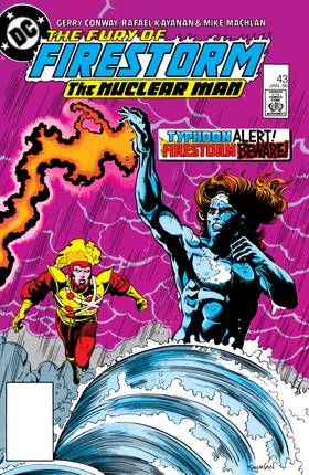 Read The Fury of Firestorm (1982-)  47 Page 1 in English