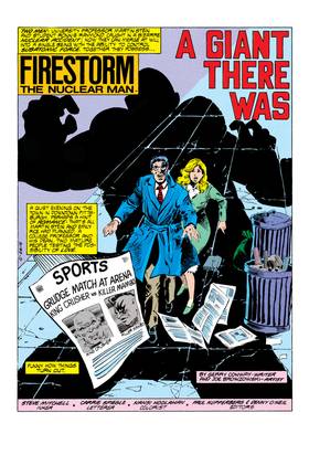 Read The Fury of Firestorm (1982-)  56 Page 2 in English