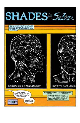 Read The Fury of Firestorm (1982-)  57 Page 2 in English