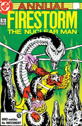 Read The Fury of Firestorm (1982-)  8 Page 1 in English