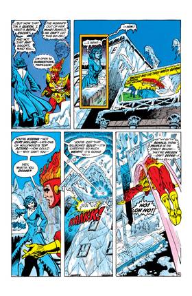 Read The Fury of Firestorm (1982-)  7 Page 5 in English