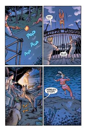 Read The Joker's Asylum (2008-2010)  3 Page 4 in English