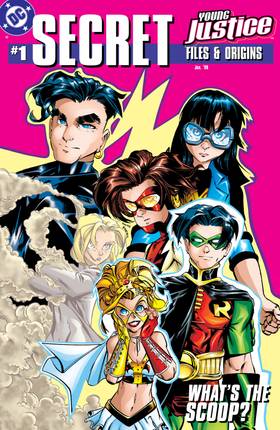 Read Young Justice Secret Files (1998-)  1 Page 1 in English