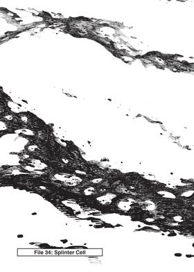 Read Ajin: Demi-Human  8 Page 9 in English