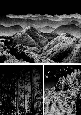 Read BECK  28 Page 7 in English