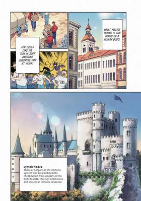 Read Cells at Work! Lady  4 Page 10 in English
