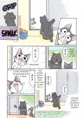 Read Chi's Sweet Home  3 Page 6 in English