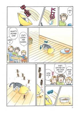 Read Chi's Sweet Home  9 Page 9 in English