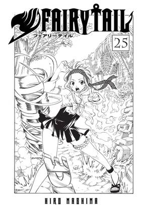 Read FAIRY TAIL  25 Page 3 in English