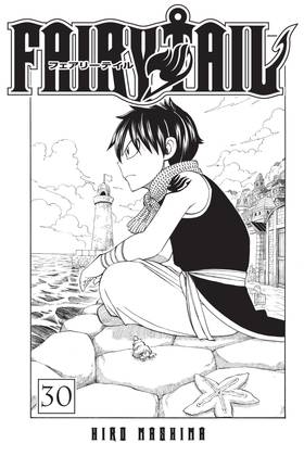 Read FAIRY TAIL  30 Page 3 in English