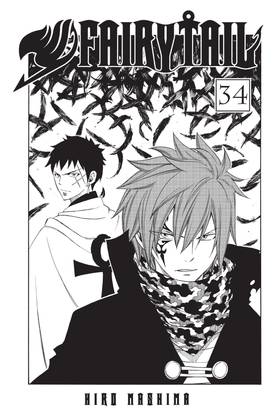 Read FAIRY TAIL  34 Page 3 in English