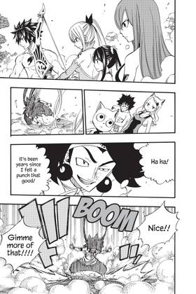 Read FAIRY TAIL  53 Page 7 in English