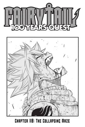 Read FAIRY TAIL: 100 Years Quest  14 Page 5 in English
