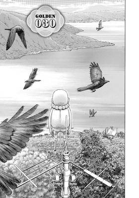 Read Golden Gold  5 Page 9 in English