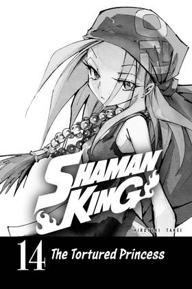 Read SHAMAN KING  14 Page 3 in English