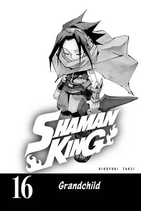 Read SHAMAN KING  16 Page 3 in English