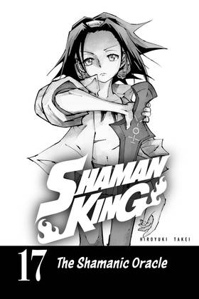 Read SHAMAN KING  17 Page 3 in English