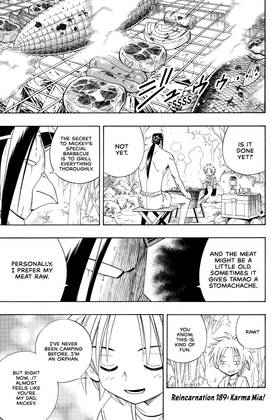 Read SHAMAN KING  22 Page 7 in English