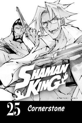 Read SHAMAN KING  25 Page 3 in English