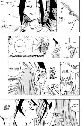 Read SHAMAN KING  27 Page 9 in English
