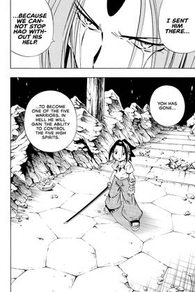 Read SHAMAN KING  27 Page 10 in English