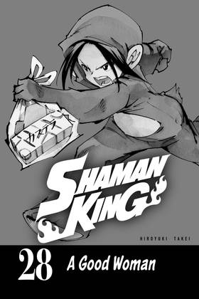 Read SHAMAN KING  28 Page 3 in English