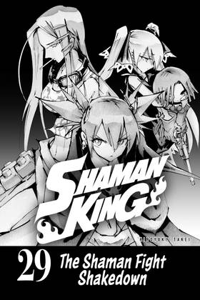 Read SHAMAN KING  29 Page 3 in English
