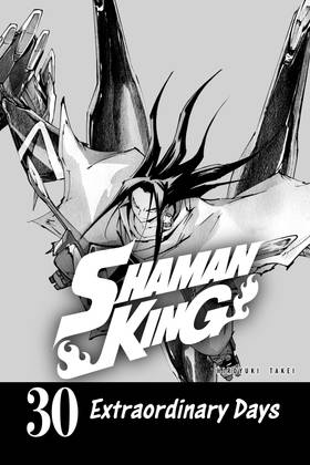 Read SHAMAN KING  30 Page 3 in English