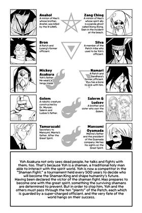 Read SHAMAN KING  31 Page 7 in English