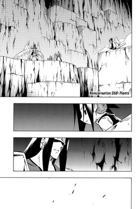 Read SHAMAN KING  31 Page 9 in English